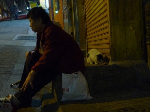 This elderly lady is a constant every evening at Peel Street, Hong Kong. Bent over, leaning on a stick and carrying bags of food for cats, she goes from alley to alley, calling out to her tiny friends and offering them food.